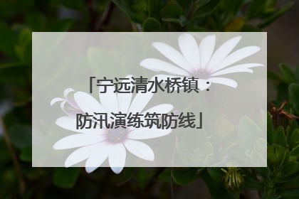 宁远清水桥镇：防汛演练筑防线