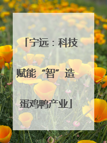 宁远：科技赋能“智”造蛋鸡鸭产业