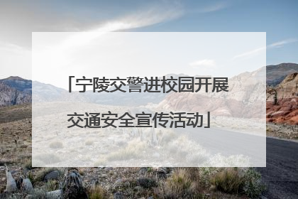 宁陵交警进校园开展交通安全宣传活动