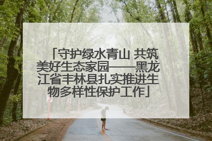 守护绿水青山 共筑美好生态家园——黑龙江省丰林县扎实推进生物多样性保护工作