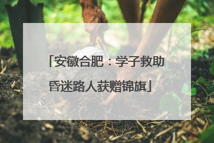 安徽合肥：学子救助昏迷路人获赠锦旗
