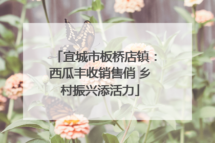 宜城市板桥店镇：西瓜丰收销售俏 乡村振兴添活力