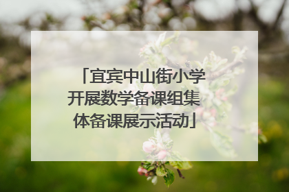 宜宾中山街小学开展数学备课组集体备课展示活动