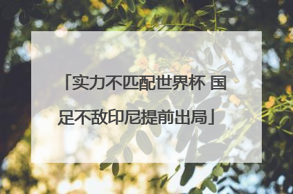实力不匹配世界杯 国足不敌印尼提前出局