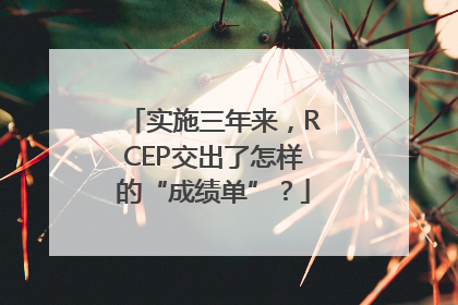 实施三年来，RCEP交出了怎样的“成绩单”？