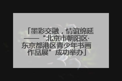 墨彩交融，情谊绵延——“北京市朝阳区·东京都港区青少年书画作品展”成功举办