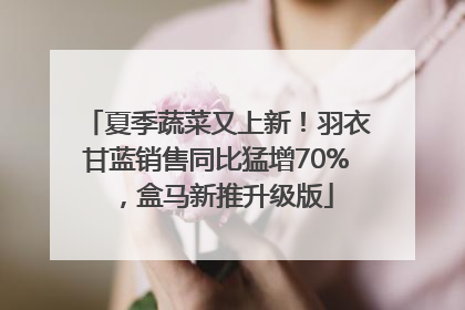 夏季蔬菜又上新！羽衣甘蓝销售同比猛增70%，盒马新推升级版