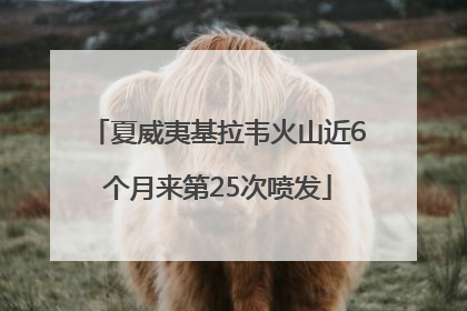 夏威夷基拉韦火山近6个月来第25次喷发