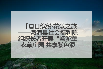 夏日缤纷·花漾之旅——溆浦县社会福利院组织长者开展“畅游薰衣草庄园 共享紫色浪漫”户外活动
