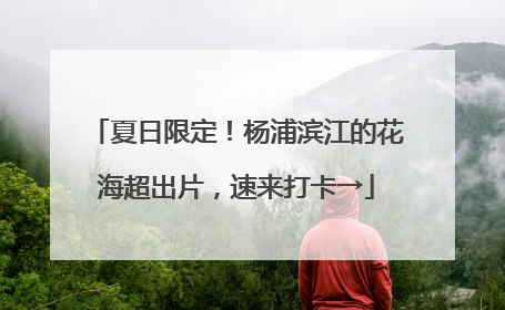 夏日限定！杨浦滨江的花海超出片，速来打卡→
