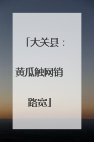 大关县：黄瓜触网销路宽