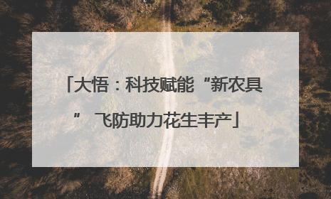 大悟：科技赋能“新农具” 飞防助力花生丰产