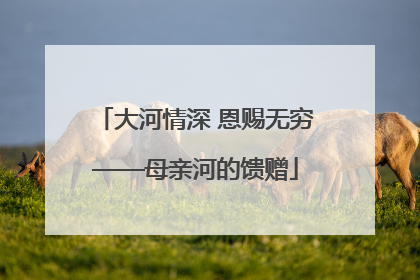 大河情深 恩赐无穷——母亲河的馈赠