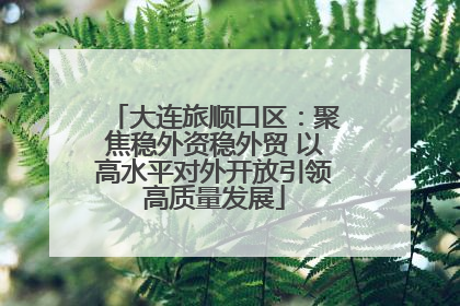 大连旅顺口区：聚焦稳外资稳外贸 以高水平对外开放引领高质量发展