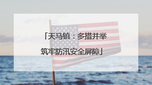 天马镇：多措并举筑牢防汛安全屏障