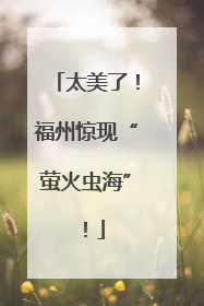 太美了！福州惊现“萤火虫海”！