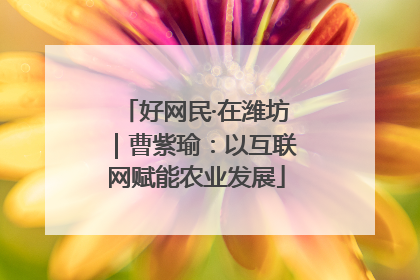 好网民·在潍坊｜曹紫瑜：以互联网赋能农业发展