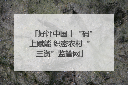 好评中国丨“码”上赋能 织密农村“三资”监管网