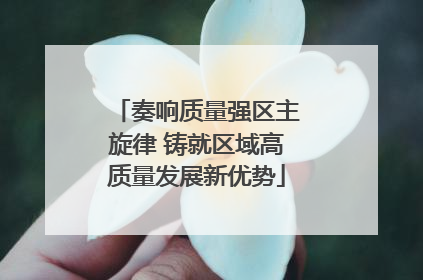 奏响质量强区主旋律 铸就区域高质量发展新优势