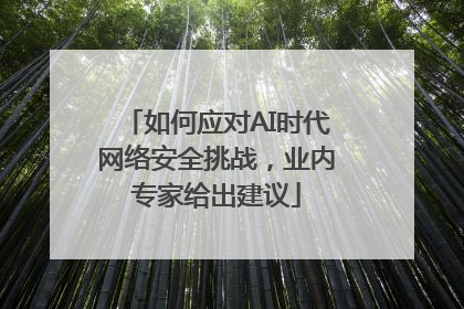 如何应对AI时代网络安全挑战，业内专家给出建议