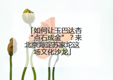 如何让玉巴达杏“点石成金”？来北京海淀苏家坨这场文化沙龙