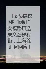 委员建议将“网红”安福路打造成文艺步行街，上海徐汇区回应