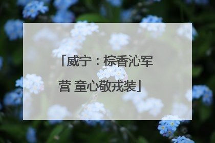 威宁：棕香沁军营 童心敬戎装