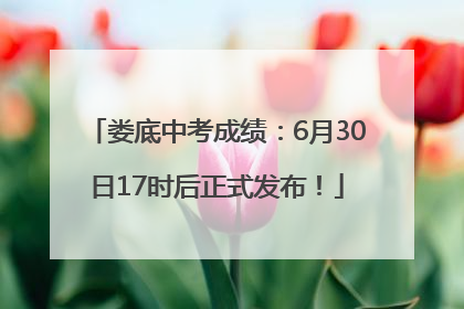娄底中考成绩：6月30日17时后正式发布！