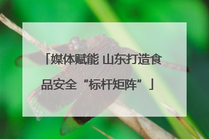 媒体赋能 山东打造食品安全“标杆矩阵”