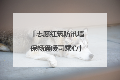 志愿红筑防汛墙 保畅通暖司乘心