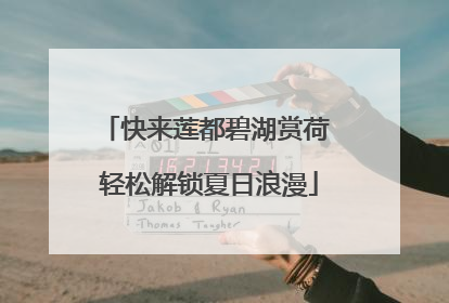 快来莲都碧湖赏荷 轻松解锁夏日浪漫