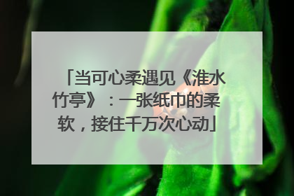当可心柔遇见《淮水竹亭》：一张纸巾的柔软，接住千万次心动