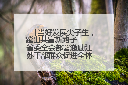 当好发展尖子生，蹚出共富新路子——省委全会部署激励江苏干部群众促进全体人民共同富裕