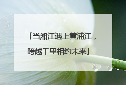 当湘江遇上黄浦江，跨越千里相约未来