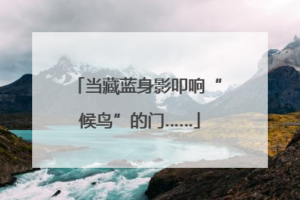 当藏蓝身影叩响“候鸟”的门……