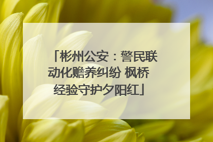 彬州公安：警民联动化赡养纠纷 枫桥经验守护夕阳红