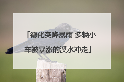 德化突降暴雨 多辆小车被暴涨的溪水冲走