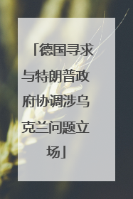 德国寻求与特朗普政府协调涉乌克兰问题立场