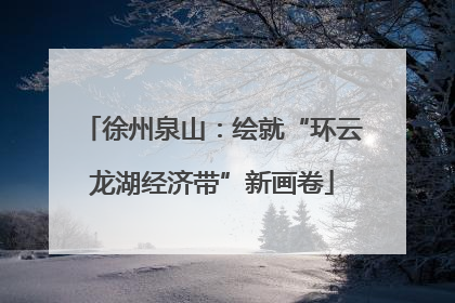 徐州泉山：绘就“环云龙湖经济带”新画卷