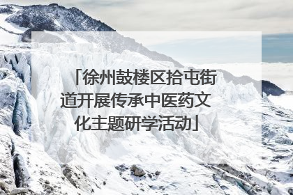 徐州鼓楼区拾屯街道开展传承中医药文化主题研学活动
