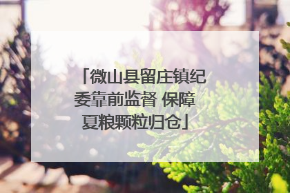 微山县留庄镇纪委靠前监督 保障夏粮颗粒归仓