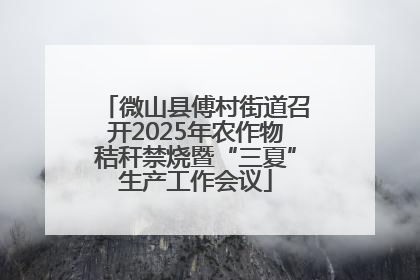 微山县傅村街道召开2025年农作物秸秆禁烧暨“三夏”生产工作会议