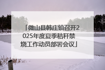 微山县韩庄镇召开2025年度夏季秸秆禁烧工作动员部署会议