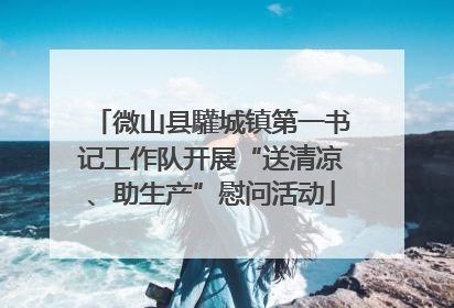 微山县驩城镇第一书记工作队开展“送清凉、助生产”慰问活动