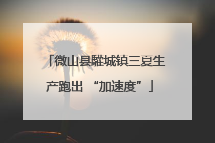 微山县驩城镇三夏生产跑出 “加速度”