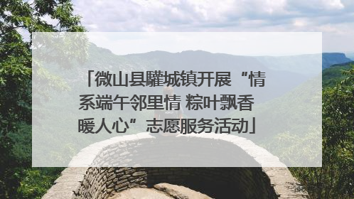 微山县驩城镇开展“情系端午邻里情 粽叶飘香暖人心”志愿服务活动