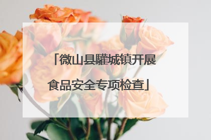 微山县驩城镇开展食品安全专项检查