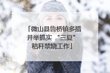 微山县鲁桥镇多措并举抓实 “三夏” 秸秆禁烧工作