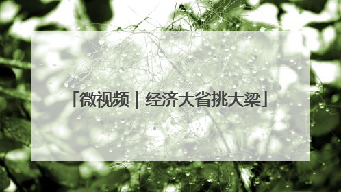 微视频｜经济大省挑大梁