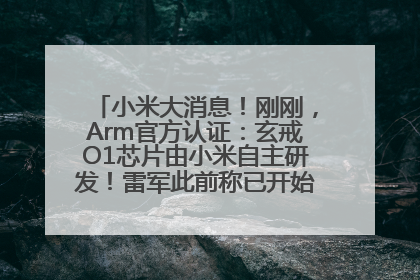 小米大消息！刚刚，Arm官方认证：玄戒O1芯片由小米自主研发！雷军此前称已开始大规模量产